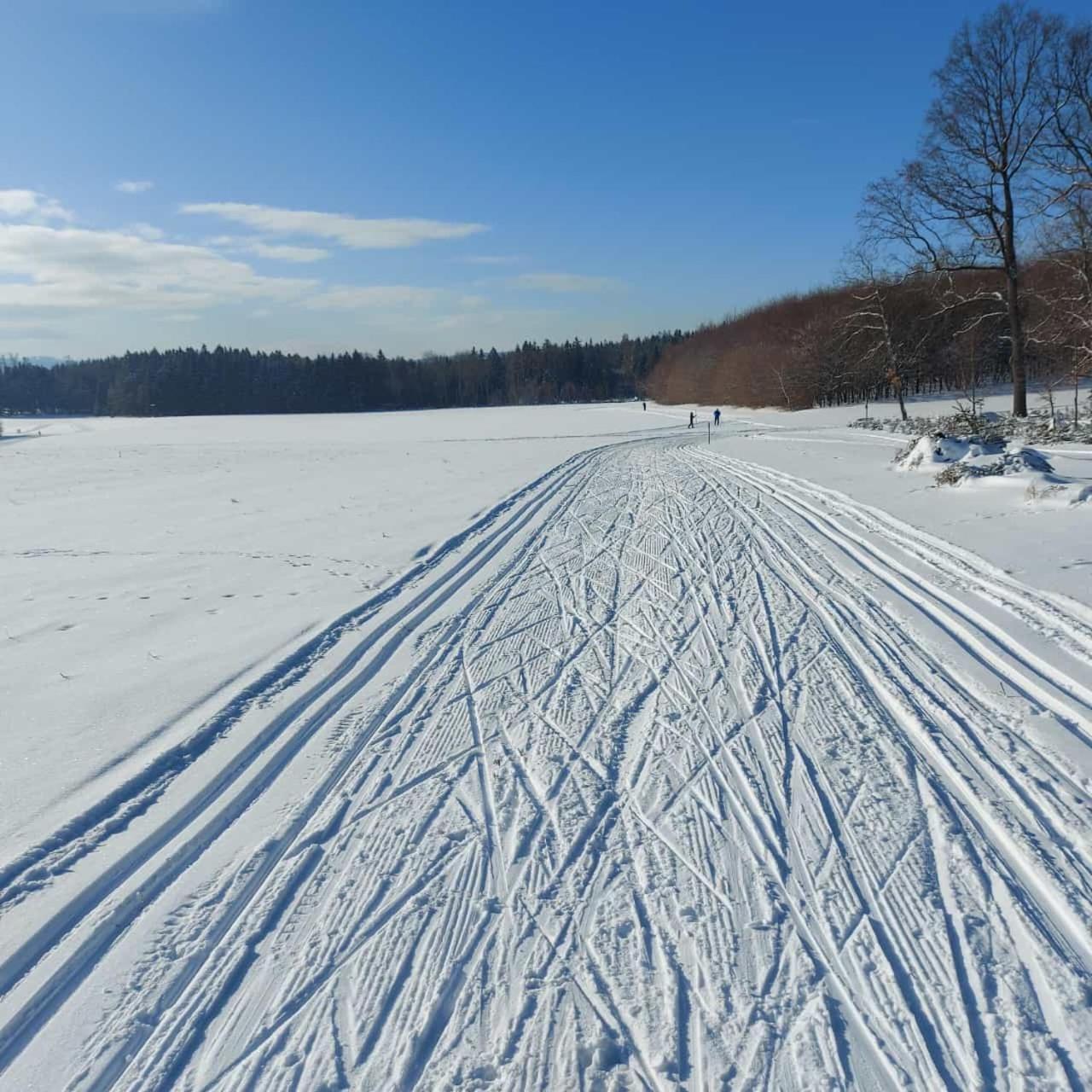 Landhotel Waldschloesschen Mit Gaststube Sohland an der Spree Экстерьер фото
